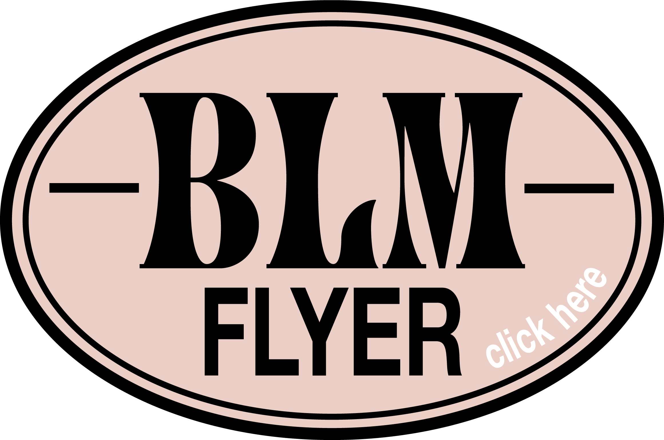 blm flyer